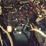 Faldic Inn. Kyoto - Main Building -