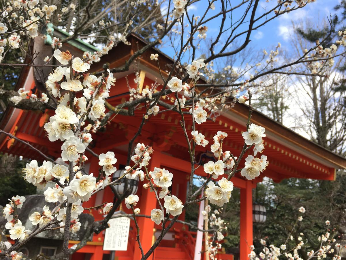 Aparthotel Faldic Inn. Kyoto - Main Building - 2*